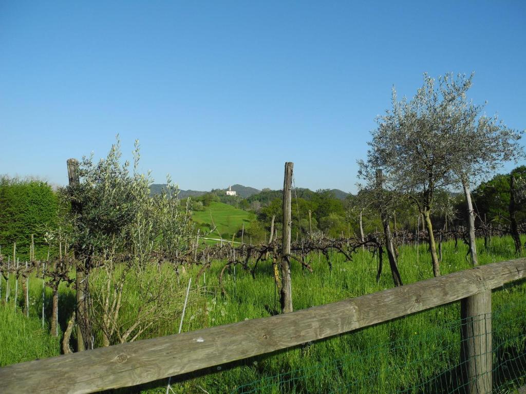 Agriturismo Cornolere Castelcucco Exterior foto