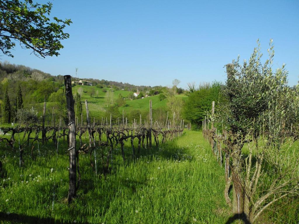 Agriturismo Cornolere Castelcucco Exterior foto